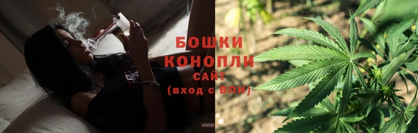 apvp Краснослободск
