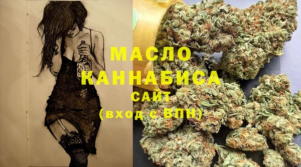 apvp Краснослободск