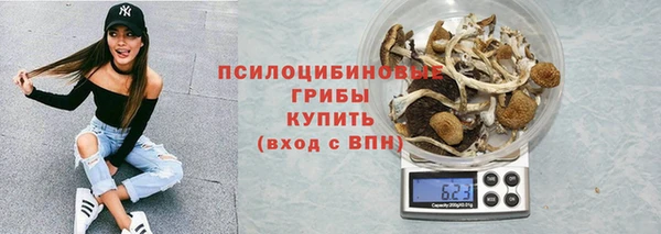 apvp Краснослободск