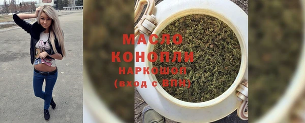 apvp Краснослободск